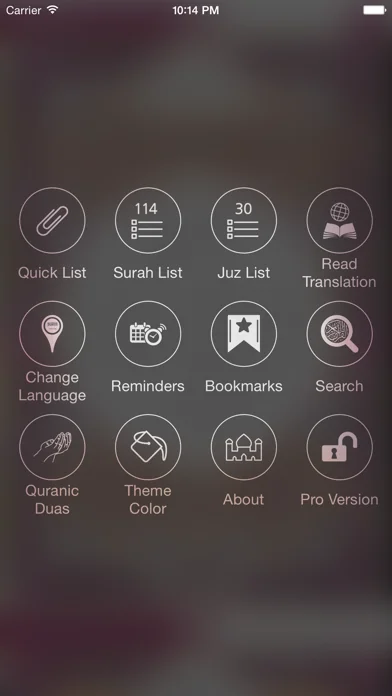Holy Quran (Offline) by Sheikh Sudais screenshot 3