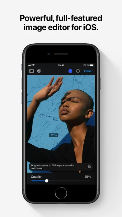 Pixelmator Classic iOS