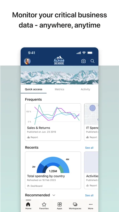 Microsoft Power BI