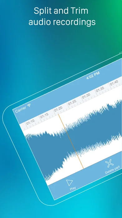 eXtra Voice Recorder Pro screenshot 2