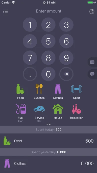 Expenses OK - expenses tracker screenshot 2