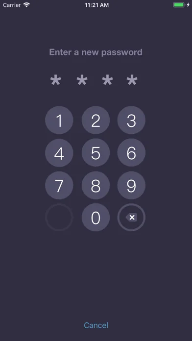 Expenses OK - expenses tracker screenshot 4
