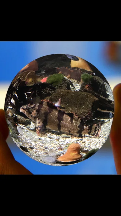 Fisheye Pro -Fischaugen-Video screenshot 2