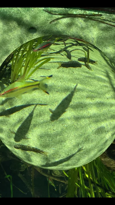 Fisheye Pro -Fischaugen-Video screenshot 3