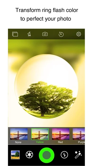 Fisheye Pro -Fischaugen-Video