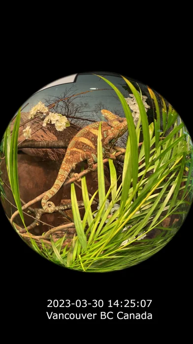 iPixelCamera -Fischaugen-Video screenshot 1