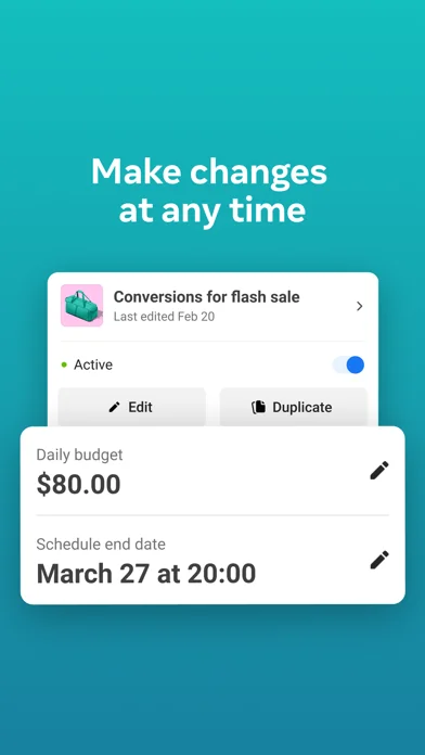 Meta-Werbeanzeigenmanager screenshot 4