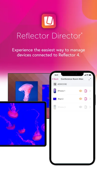 Reflector Director