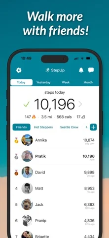 StepUp Pedometer Schrittzähler