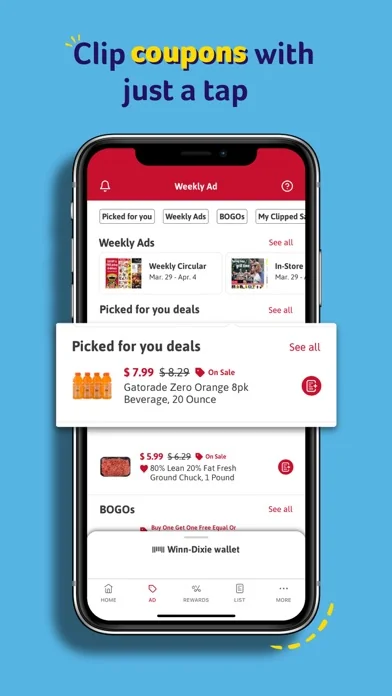 Winn-Dixie screenshot 4