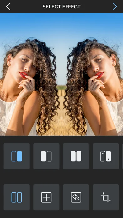 Flipper - Mirror Image Editor screenshot 2