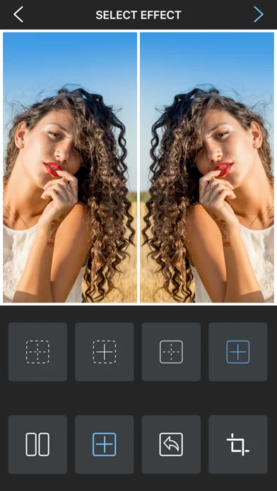 Flipper - Mirror Image Editor screenshot 3