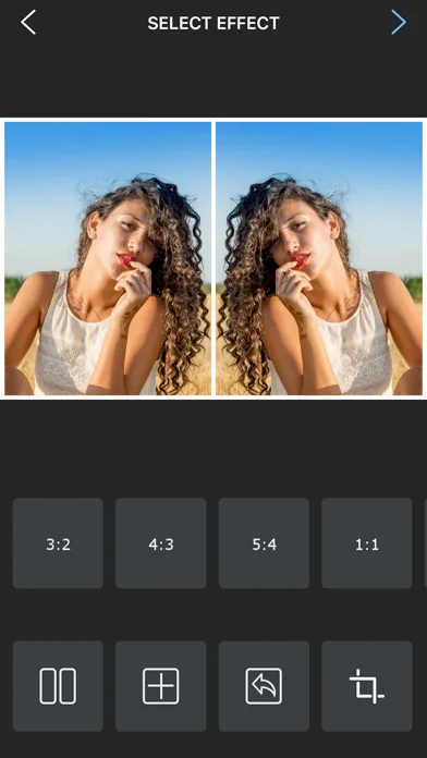 Flipper - Mirror Image Editor screenshot 4