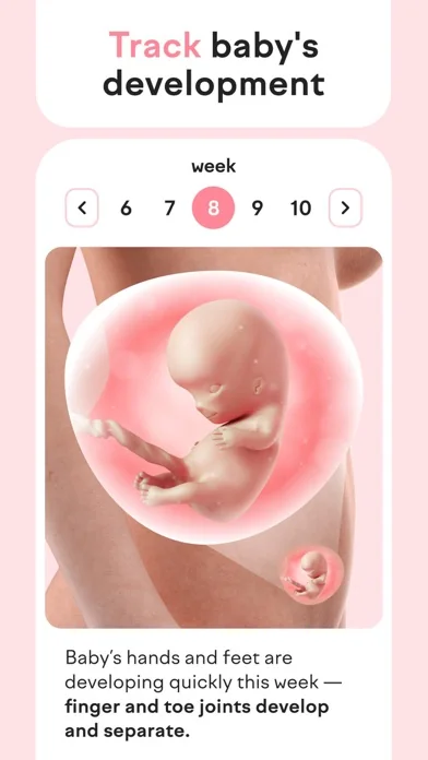 Schwangerschafts & Baby: amma